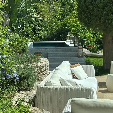 La Grande Bellezza *